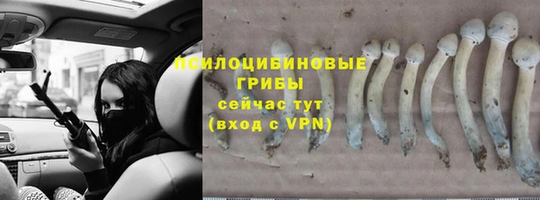 молекула духа Горнозаводск