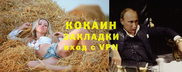 молекула духа Горнозаводск