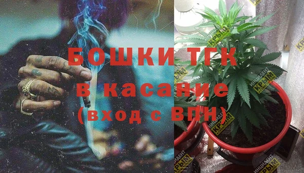 молекула духа Горнозаводск