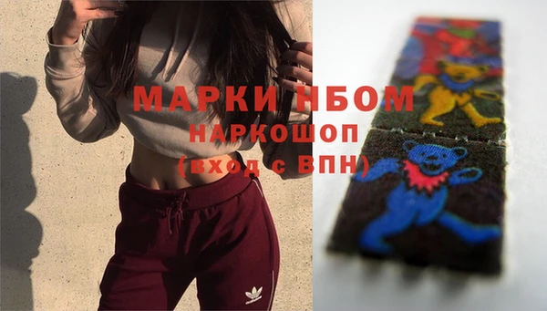 молекула духа Горнозаводск